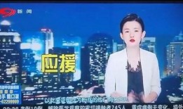 肖小姐深圳最新爆料新闻,揭秘事件背后惊人真相